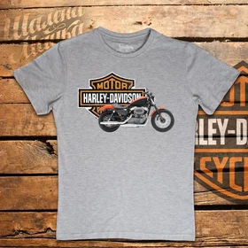 Прикольные футболки: Harley Davidson 014